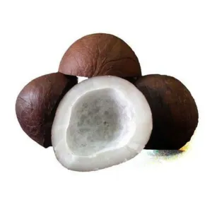 Coconut /Gari Gola