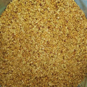 Arhar Desi