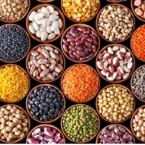 Pulses