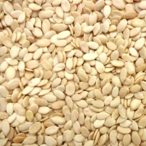 Char Magaz Seeds 100gm