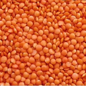 Masoor Dal (Bold)