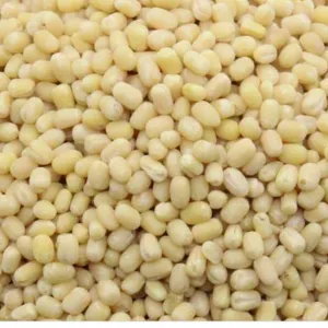 Biri dal (Bold)