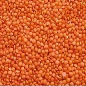 Masoor Dal (Small) 