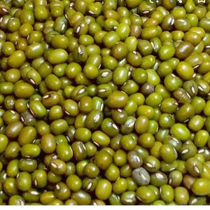 Moong (Gota) 