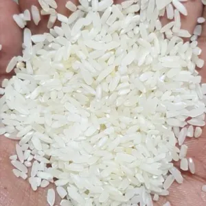 Silky Masoori Rice