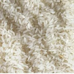 Plain Masoori Rice