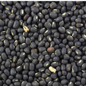 Urad Gota