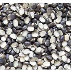 Urad (Chhilka) 