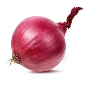 Fresho Onion