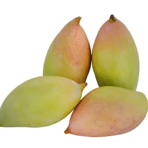 Totapuri Mango, 500 gm
