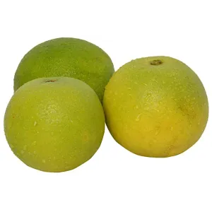Mosambi, 6 pcs 800 gm - 1 kg