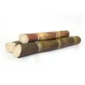 Sugarcane, 1 pc