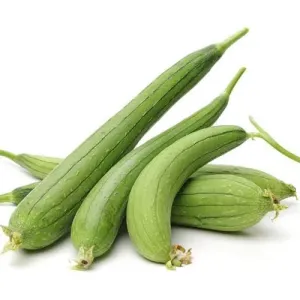 Sponge gourd