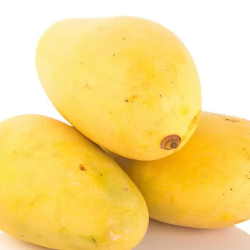 Mango Safeda