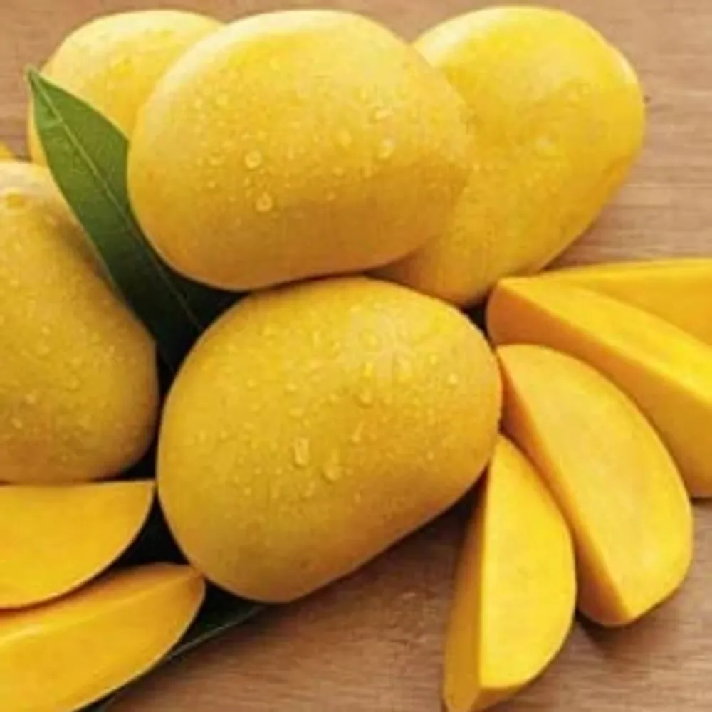 Mango Safeda