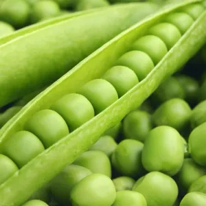 Frozen Peas/Matar