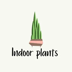 Indoor plants 