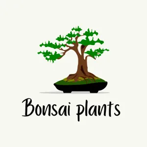 Bonsai plants