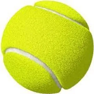 Cricket ball
