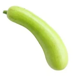 लौकी (Bottle gourd)