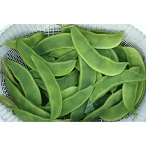 बड़ी सेम फली {500g}
