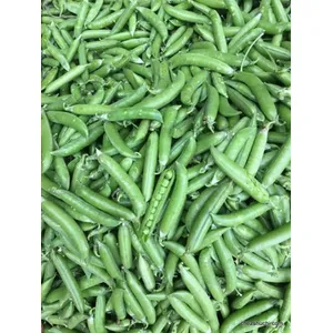 Pea/मटर