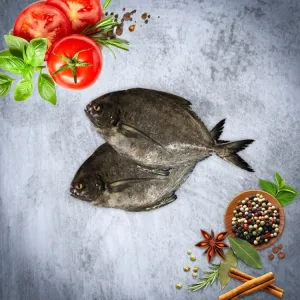 வாவல் மீன் / Vaaval Meen