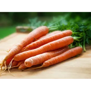 Carrot