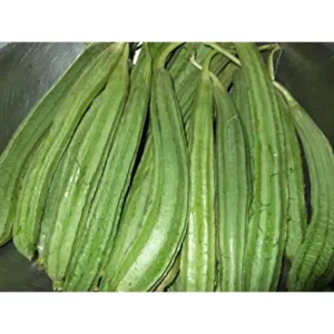 Ridge Gourd 1 kg