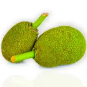 Jackfruit(Eachor)