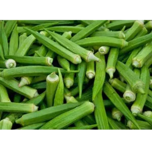 Vendi -Lady Finger