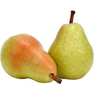 Pears beauty 