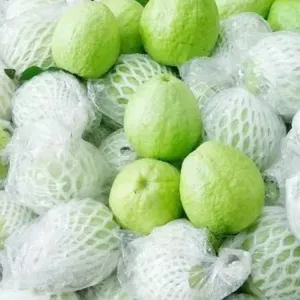 अमरूद (Thailand Imported Guava)