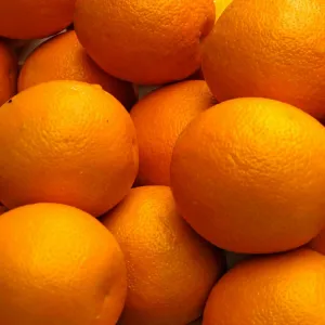 Mini Imported Orange 