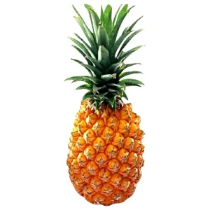अनानास रानी (Pineapple queen)