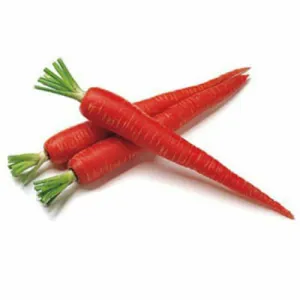 Carrot (Gajar)