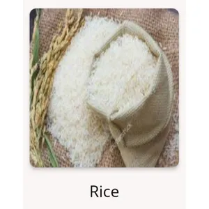 Rice