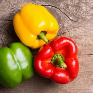 COLOUR CAPSICUM  
