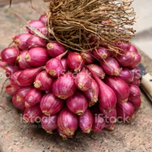 Sambar Onion