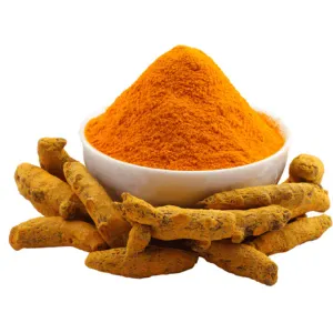 Turmeric Powder ( હળદર )