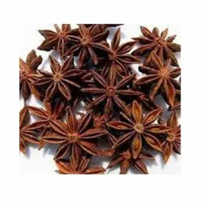 Star pu 50 g