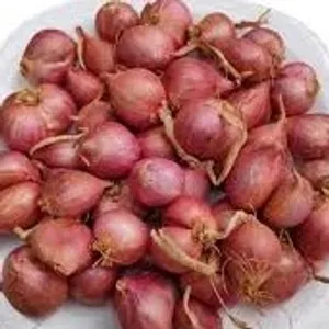 ONION SMALL  