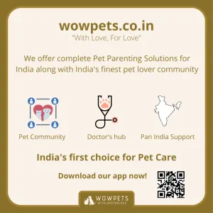 WOWPets Services