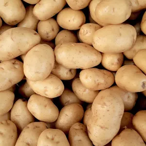 Aloo (Potato)