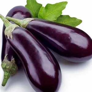 brinjal long (bangen )