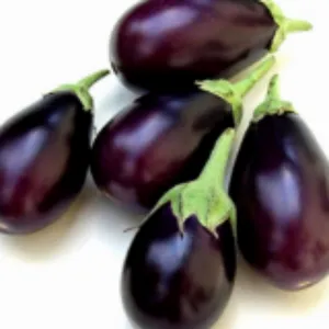 brinjal small(bengan chota)