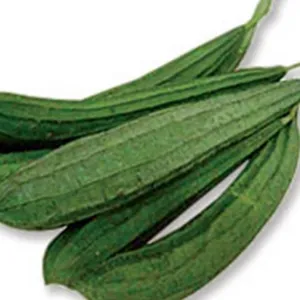 ridged gourd(tori)