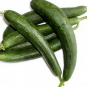 sponge gourd(tori ghia)