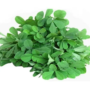 fenugreek leaves(methi)