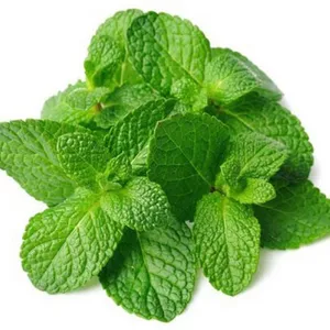 mint leaves(pudina)